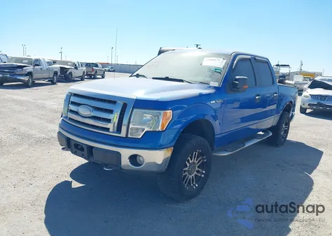 2009 Ford F-150 Fx4/King Ranch/Lariat/Platinum/Xl/Xlt z USA, uszkodzony, nr VIN 1FTPW14V49FB13310